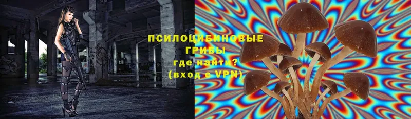 Псилоцибиновые грибы Magic Shrooms  Богучар 